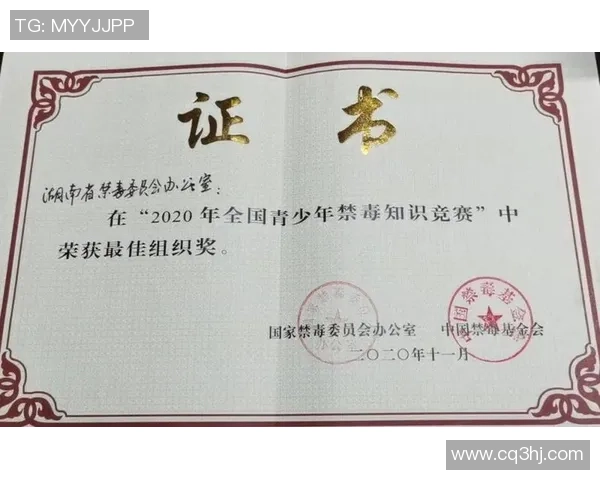 广州排球队灵活性排名创新高引发全国关注与热议